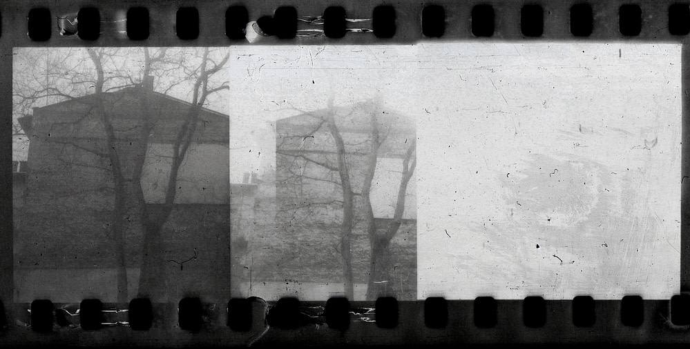 analog photography