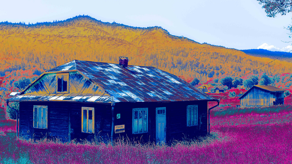 colourised photo