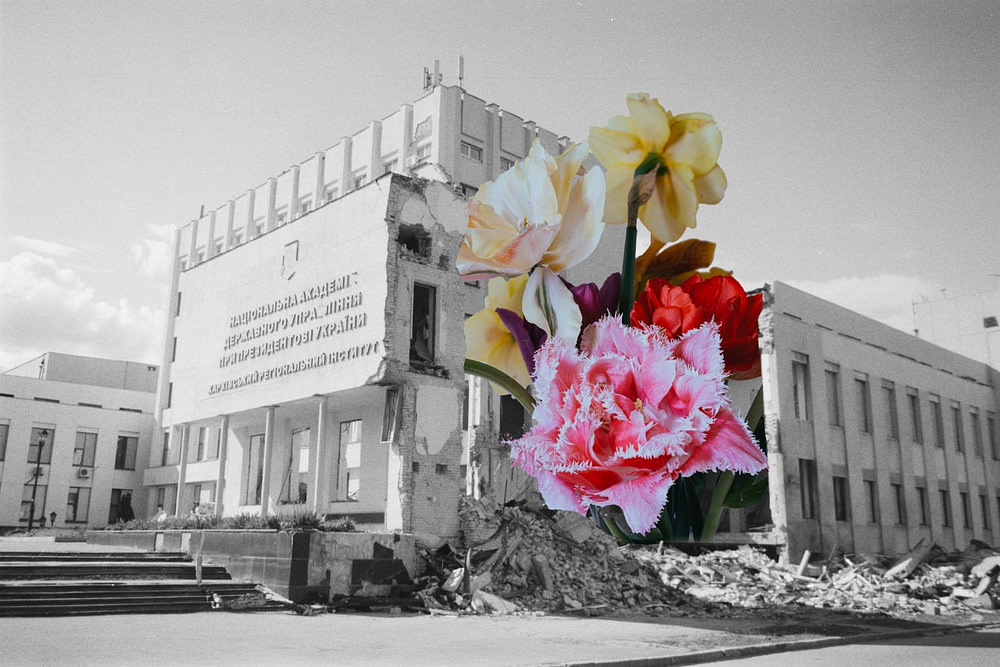 photocollage of war damaged Ukrainian building & flowers